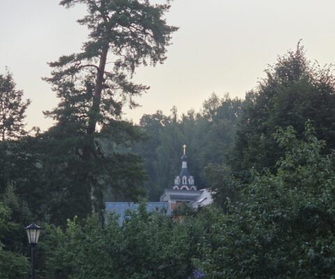 День памяти перенесения мощей преподобного Саввы Сторожевского под вновь сооруженную сень (1847г.) молитвенно встретили в Саввинской обители